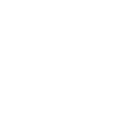 Dokter